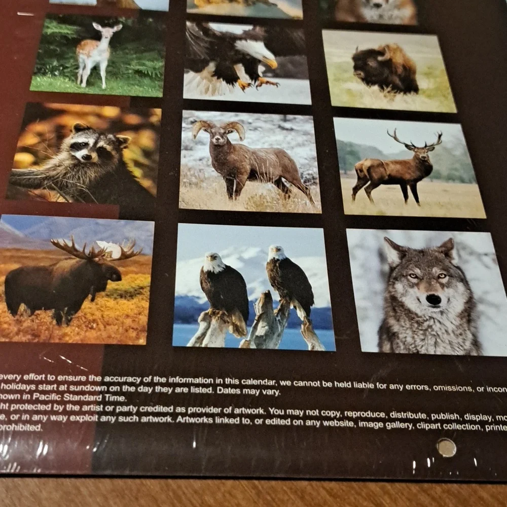 Wildlife 2025 calendar/ BUNDLE ONLY 2or more items